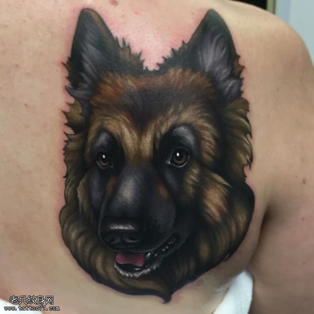 肩部逼真写实的狼狗纹身图案