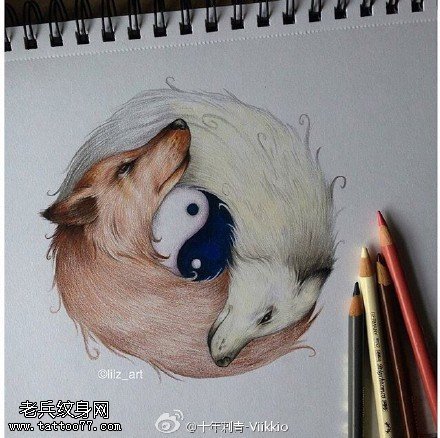 手稿狐狸八卦纹身图案