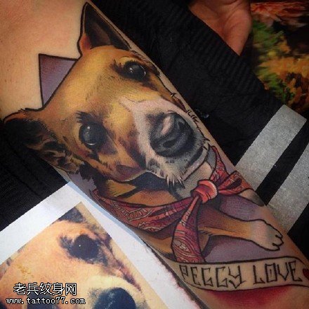 胳膊上的宠物狗纹身图案