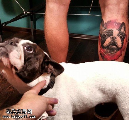 小腿上可爱的宠物纹身图案