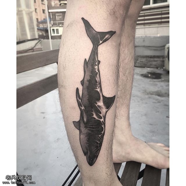 小腿部一条黑鲨鱼纹身图案