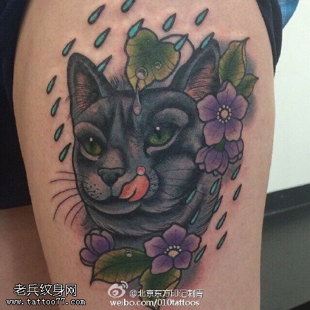 肩膀雨点猫咪花卉纹身图案