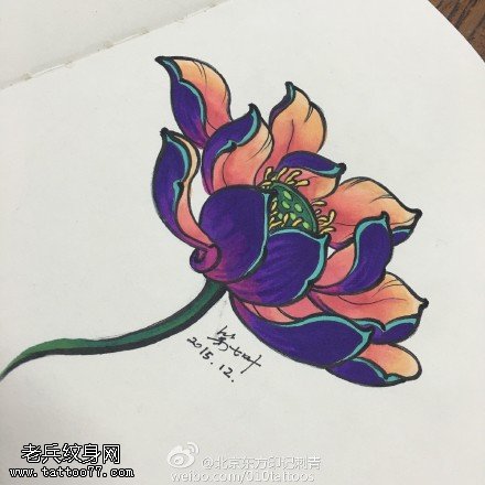 手稿紫色的荷花纹身图案