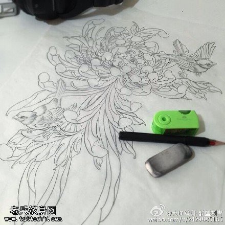 素描的大菊花纹身图案