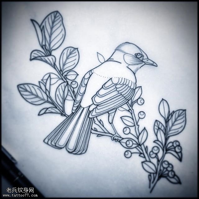 手臂素描的鸟儿纹身图案