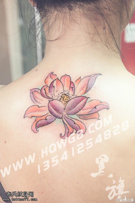 背部清爽的荷花纹身图案