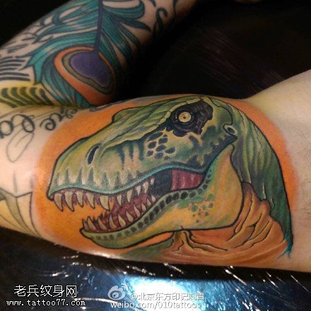 胳膊上的鳄鱼纹身图案