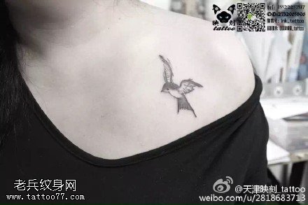 肩部的小燕子纹身图案