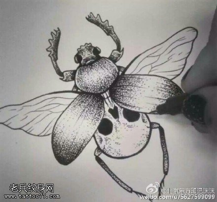 手稿骷髅昆虫纹身图案