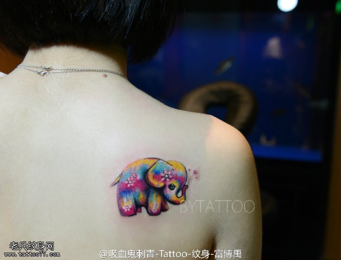 肩膀的小彩象纹身图案