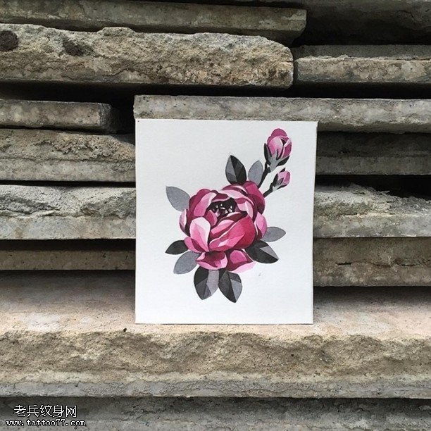 手稿彩绘的蔷薇花纹身图案