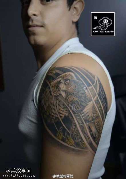 肩膀的老鹰纹身图案