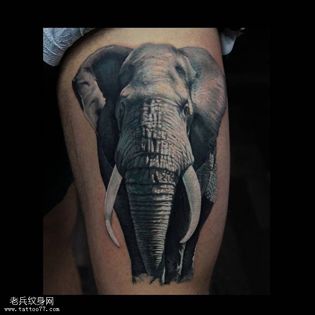 大腿写实的大象纹身图案