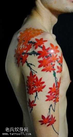 胳膊红枫叶纹身图案