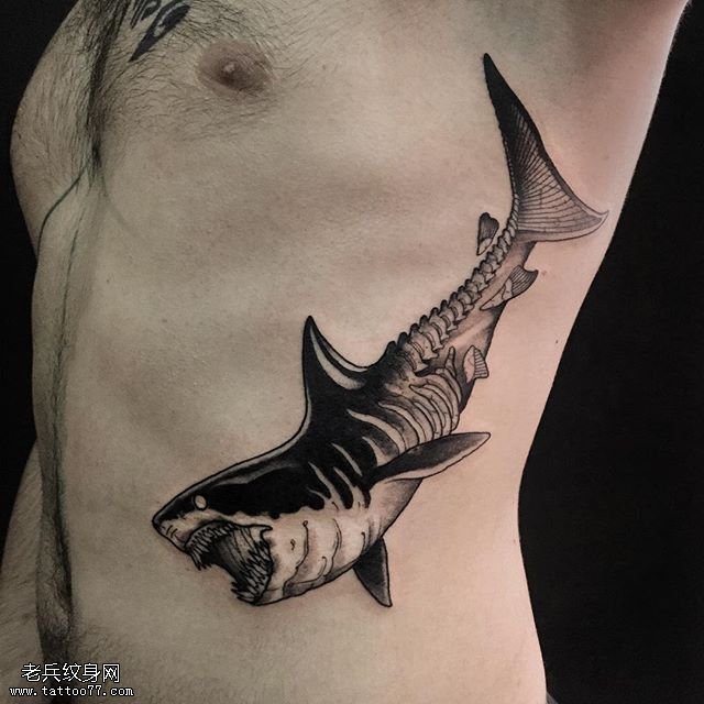 侧腹的鲨鱼骨架纹身图案