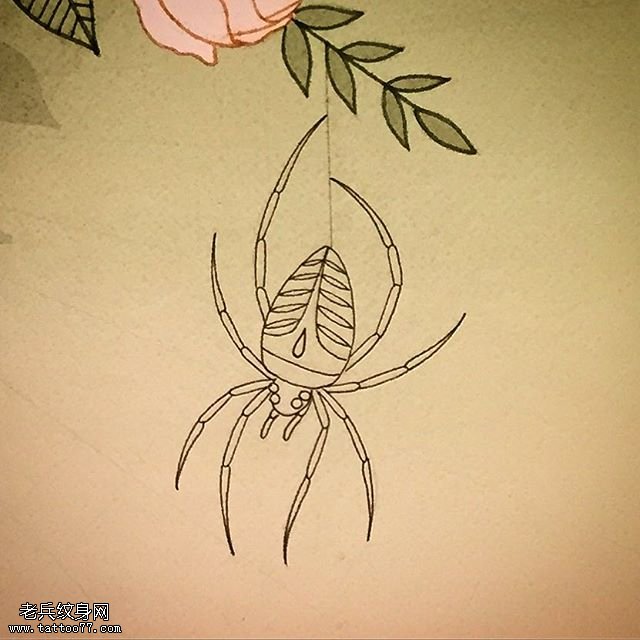 手稿蜘蛛纹身图案