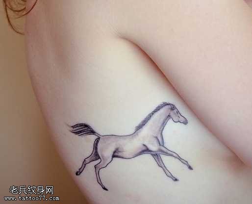 腰部好看的小马纹身图案