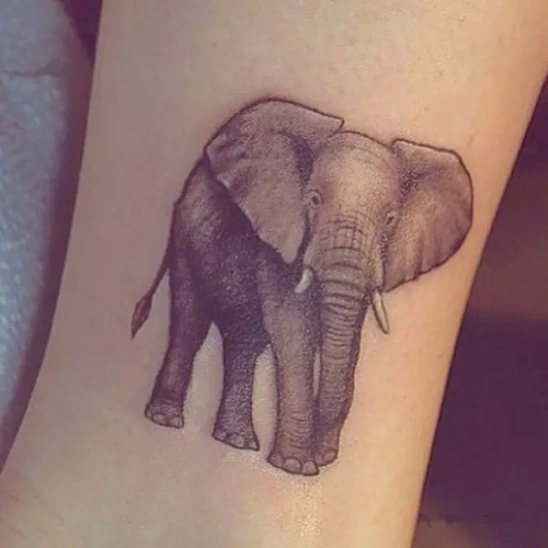 调皮的小象纹身