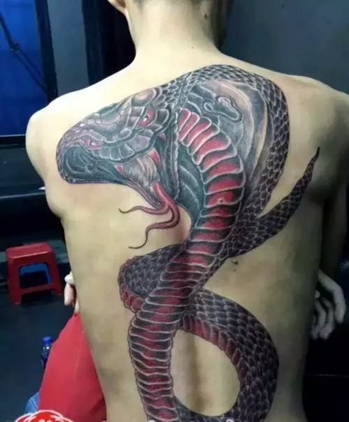 你有胆量弄个蛇纹身吗