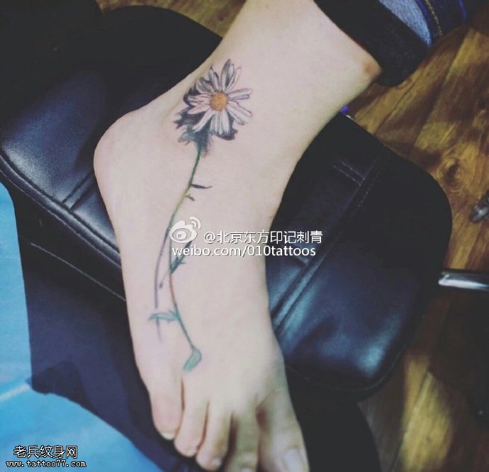 脚部水彩的雏菊纹身图案