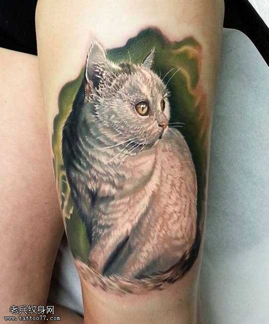 腿部好看的猫咪纹身图案