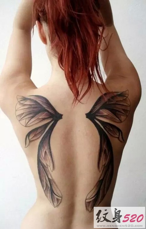 圆你心中的翱翔梦