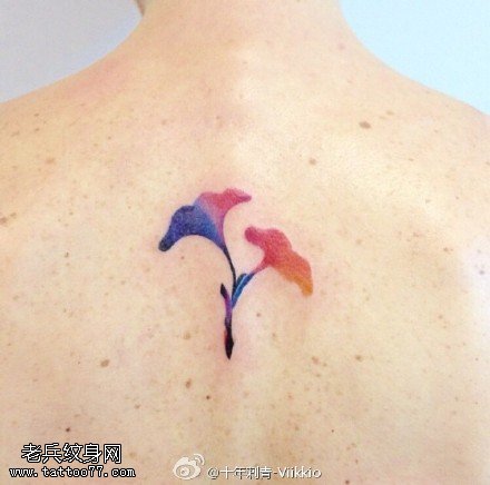 背部的小银杏叶纹身图案