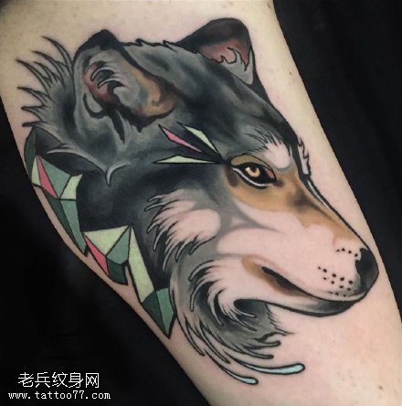 小腿彩绘狼纹身图案