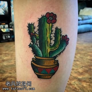 小腿的仙人掌纹身图案