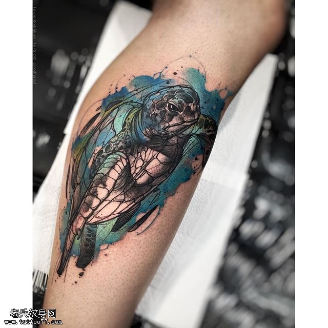 小腿上水彩老龟纹身图案