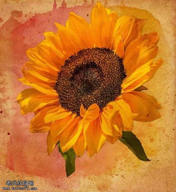 一张漂亮的向日葵纹身图案