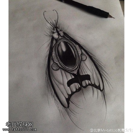 手稿飞蛾纹身图案