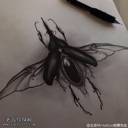 手稿甲壳虫纹身图案
