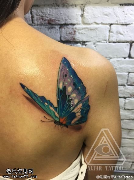 肩膀彩色的蝴蝶纹身图案