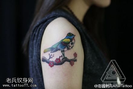肩部的黄鹂鸟纹身图案
