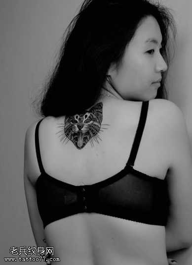 背部小猫的头像纹身图案