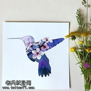 手稿精美的翠鸟纹身图案