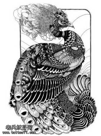 一张美丽的孔雀纹身图案