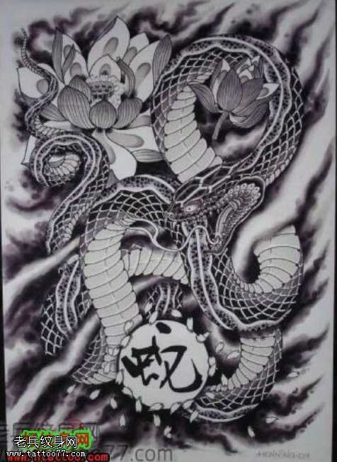 手稿徘徊在荷花边的大蛇图案