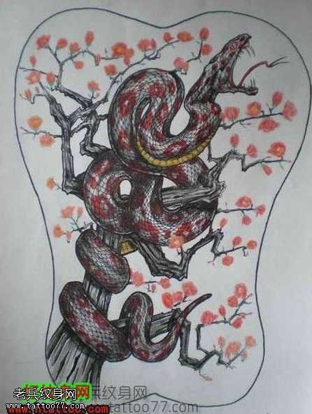 手稿梅花树上的大蛇图案