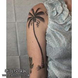 肩部椰子树纹身图案