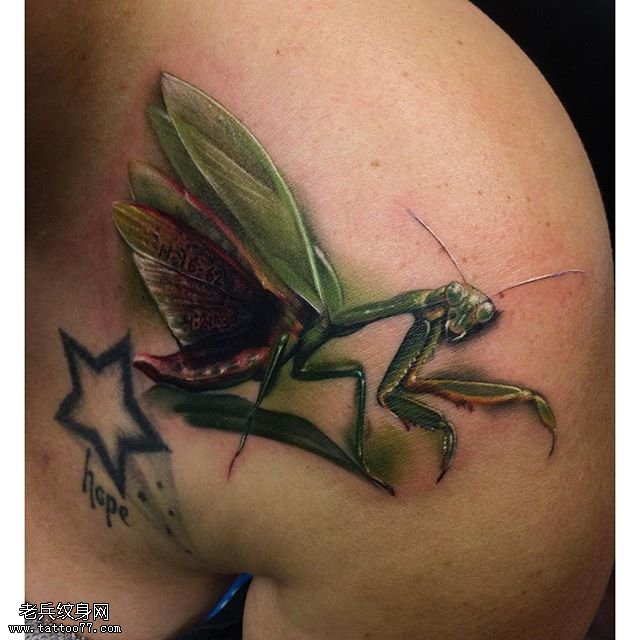 肩部写实的螳螂纹身图案