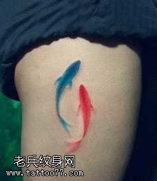 腿部好看的蓝红金鱼纹身图案