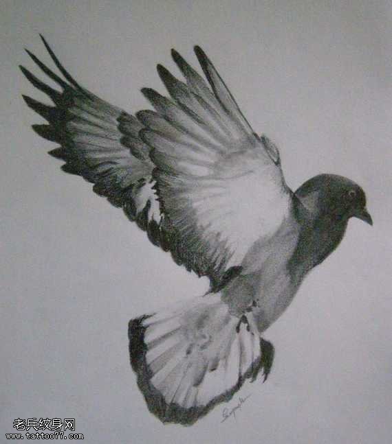 手稿黑灰色的鸽子纹身图案