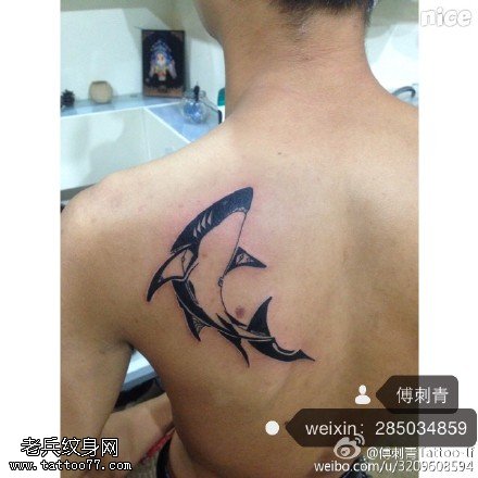 肩膀点刺鲨鱼纹身图案