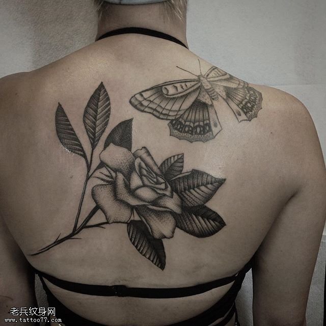 背部的玫瑰蝴蝶纹身图案