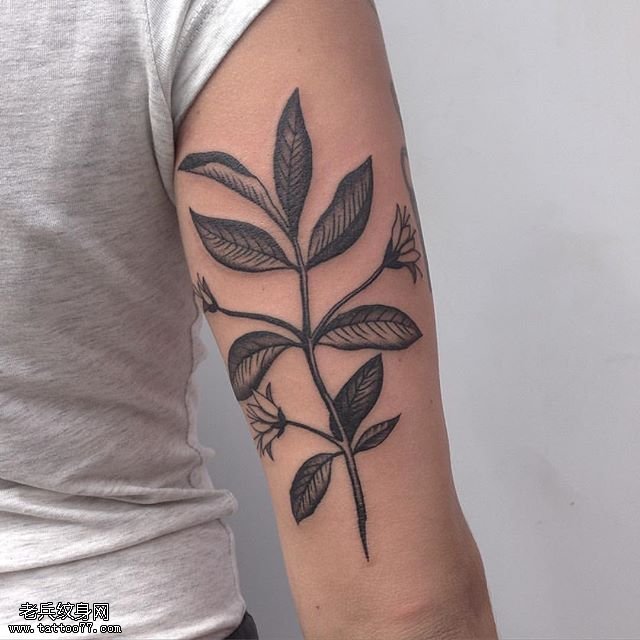 肩部经典的植物纹身图案