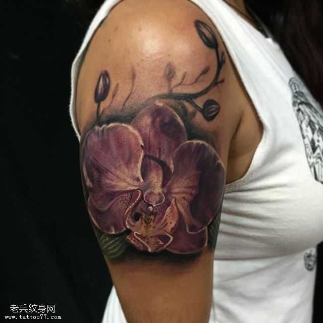 肩部紫色的兰花纹身图案