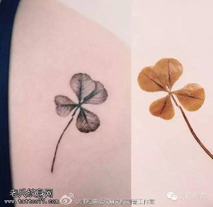 肩膀的四叶草纹身图案