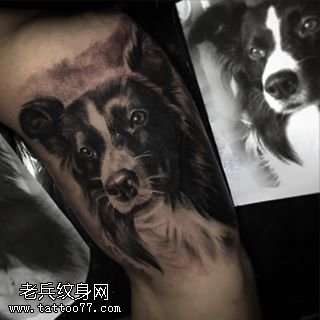 小腿的爱狗纹身图案